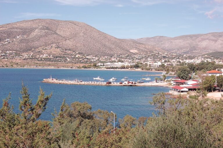 Παλαιά Φώκαια Αλιευτικό καταφύγιο Παλαιάς Φώκαιας, από Ν